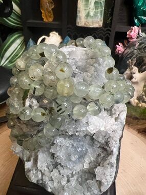 Prehnite 8 mm Bracelet